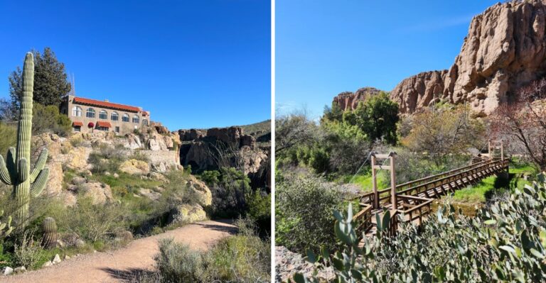 This Quiet Arizona Arboretum Has 323 Acres Of Forest Trails And Incredible Mountain Views