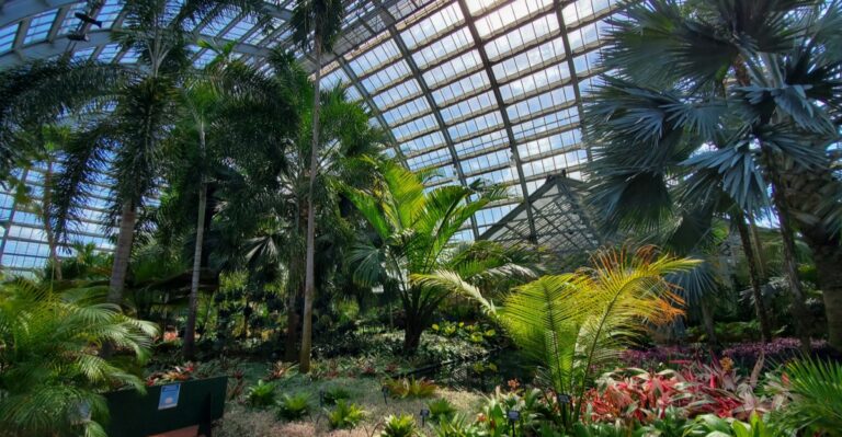 When Rain Cancels The Playground, This Free Illinois Conservatory Turns Into A Jungle Walk