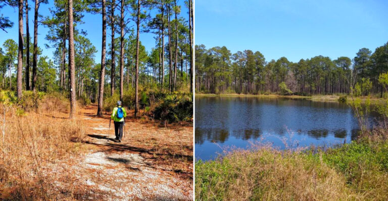 This Mississippi Creek Is A Must-Visit For Rock Hounds Who Love Digging For Free