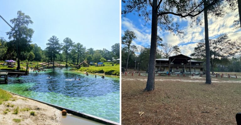 Most Visitors Drive Right Past This Quiet Florida Water Park In The Woods