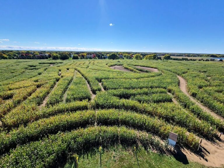 Getting Lost Takes All Afternoon In This Illinois Corn Maze Cut Across 28 Acres