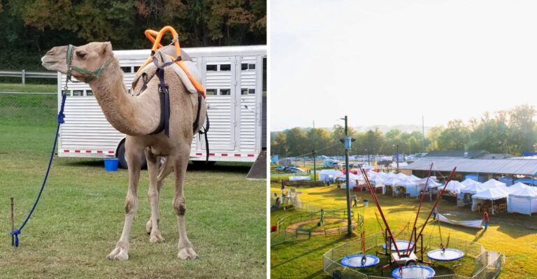 This Georgia Harvest Fair Is Cash-Only And Draws Visitors From Three States Away