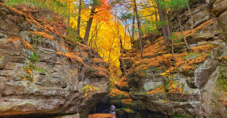 This Wisconsin Gorge Hides A Dramatic Waterfall Between Towering Rock Walls
