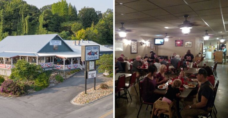 We Ranked 10 Of Tennessee’s Best Catfish Restaurants And Here Are The Results