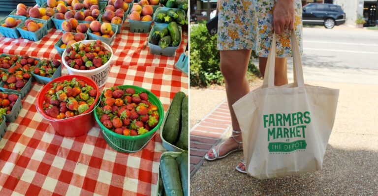 Mississippi’s 10 Farmers Markets Where Homemade Foods Fill The Stalls From Morning Until Closing Time