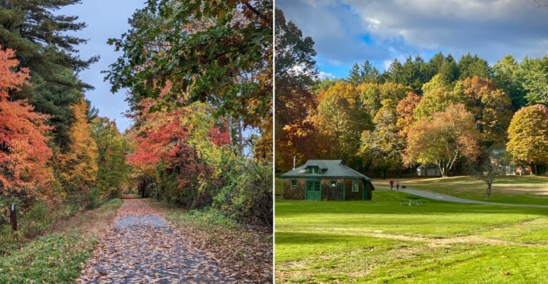 10 Massachusetts Horseback Riding Destinations For An Unforgettable Outdoor Adventure