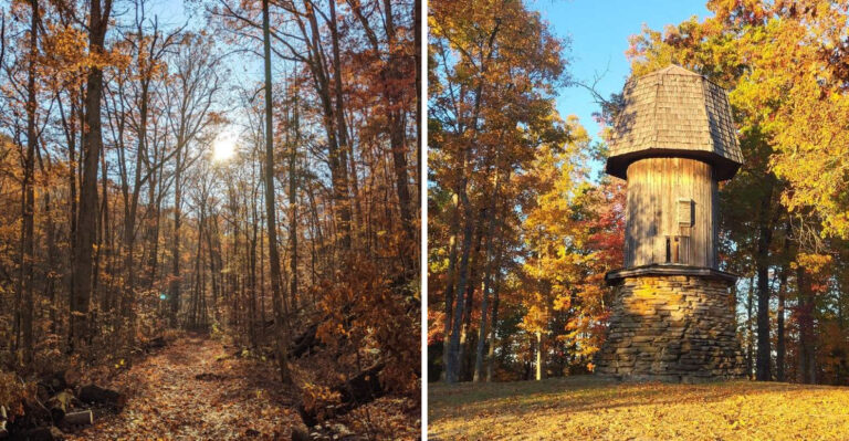 9 Easy Tennessee Trails To Catch The Very First Signs Of Fall Foliage