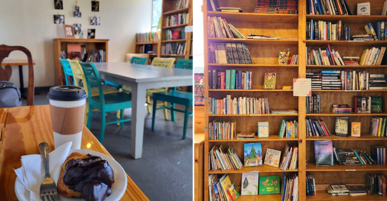 The Mississippi Bookstore Cafe With Shelves Of Used Books And A Dessert Case In Back