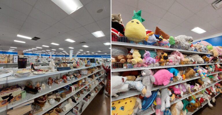 This Northern Nevada Thrift Stop Rewards Shoppers Who Love The Hunt