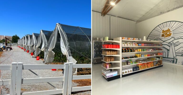 The Pahrump, Nevada Farm Stand And Bakery Combo That Locals Wish Stayed A Secret