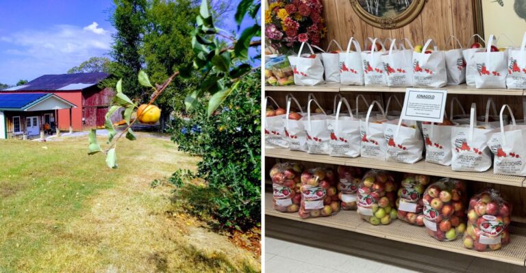 9 Tennessee Farm Markets To Visit For Fresh Fall Apples And Local Goods