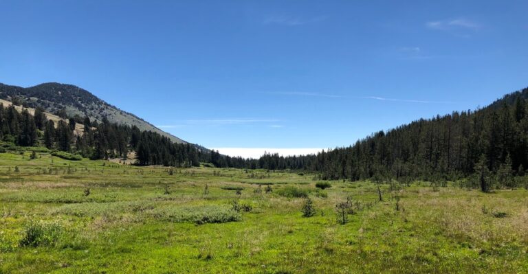 Most Tourists Miss This Quiet Alpine Meadow At The End Of A Hidden Lake Tahoe Trail