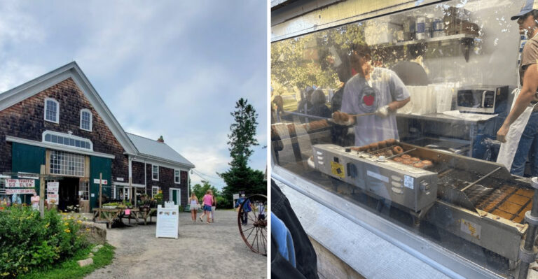 This Massachusetts Apple Orchard Makes Cider Donuts People Drive Miles To Get