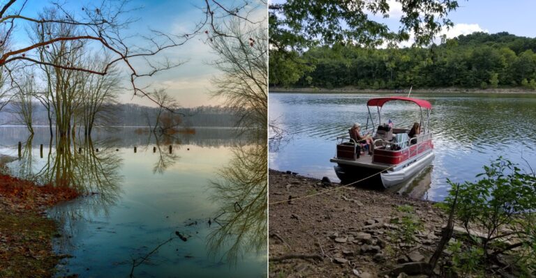 This Massive Indiana Lake Has Become A Haven For Large Numbers Of Snakes
