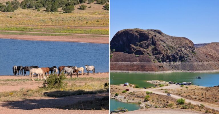 10 New Mexico Campgrounds Perfect For Camping Right By The Water