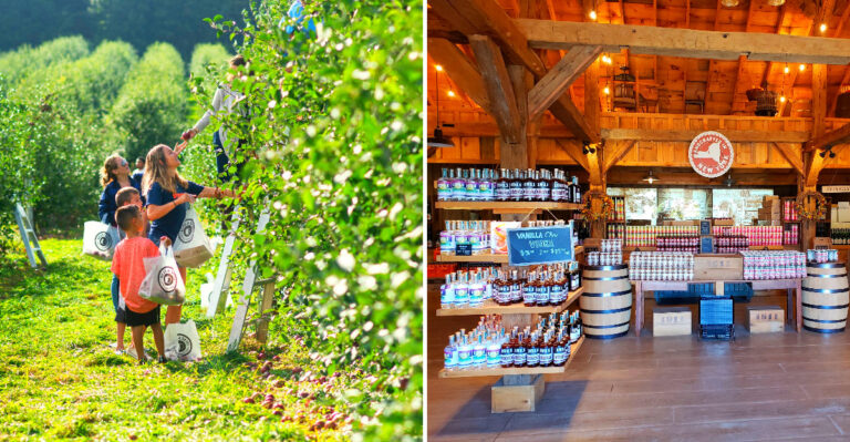 This New York Apple Orchard Was Just Voted The Best In America