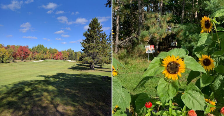 This Northern Maine Town Is A Beautiful Hidden Spot For Sunflowers And The First Signs Of Fall