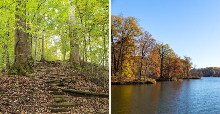 This Beautiful Tennessee State Park Has Scenic Trails But Venomous Snakes Also Call Them Home