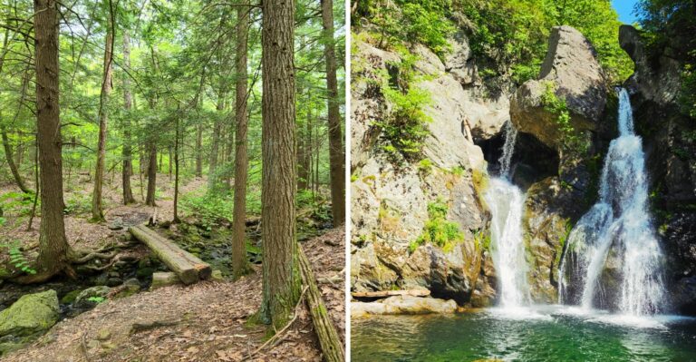 Timber Rattlesnakes Stay Active Into Fall At These Massachusetts Hiking Areas