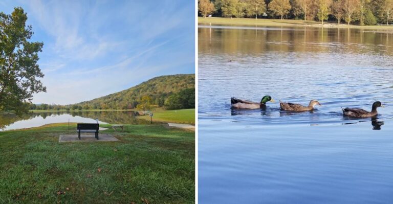 This Tennessee State Park Was Built On An Abandoned Strip Mine And You’d Never Guess It Today