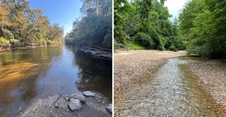 Pack Snacks For These 8 Mississippi Springs And Creeks Where Autumn Picnics Cost Nothing