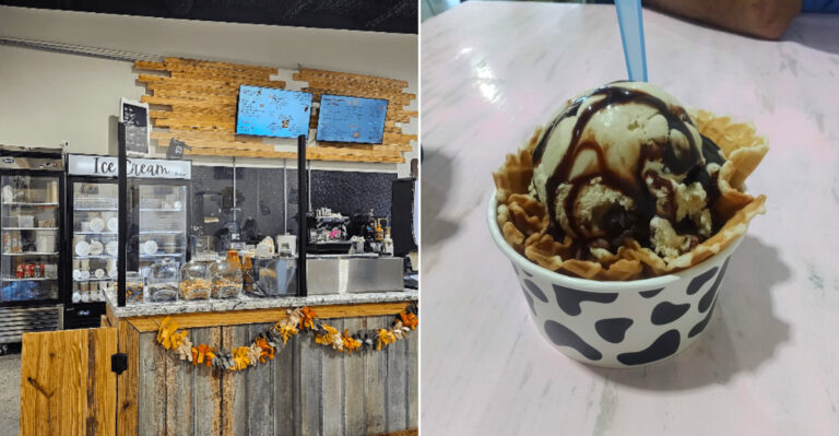 The Mississippi Farm Where You Can Eat Small-Batch Ice Cream With The Cows That Made It