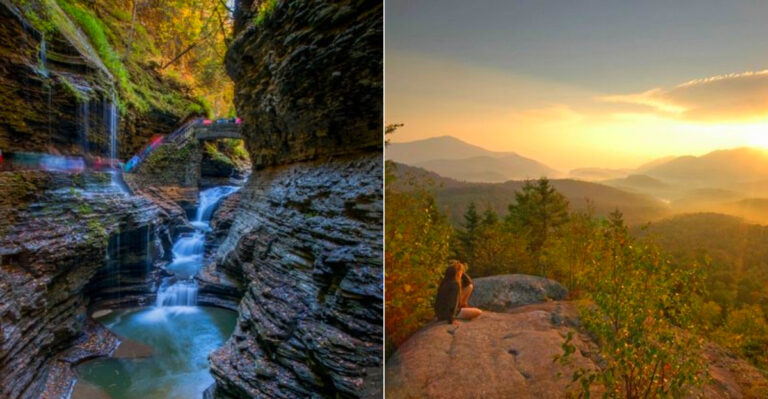 This Upstate New York Forest Is One Of The Best Places To Watch The Deer Rut This Autumn