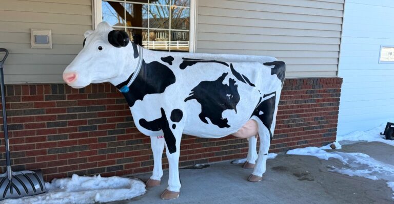 Fresh Milk Is Just The Start At This Wisconsin Farm Creamery Worth The Drive