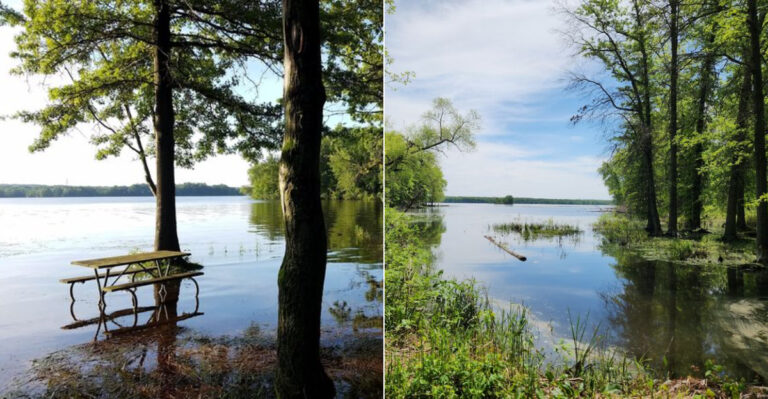 This Ohio Lake May Be Too Snake-Infested For Its Own Good