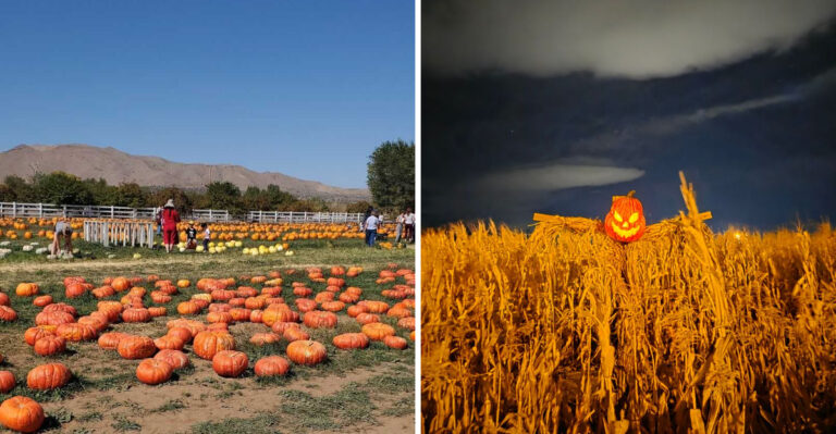 Every September, This Nevada Desert Farm Stand Near Sparks Becomes A Pumpkin Wonderland