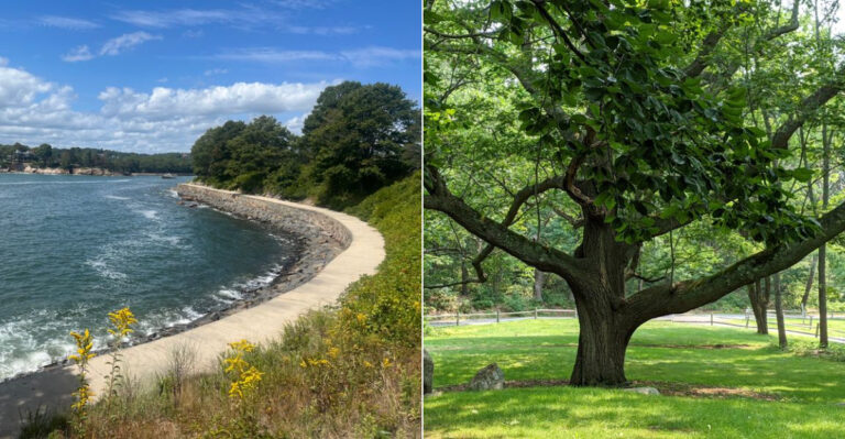 This Massachusetts Coastal Park Has Peaceful Wooded Trails Away From The Crowds