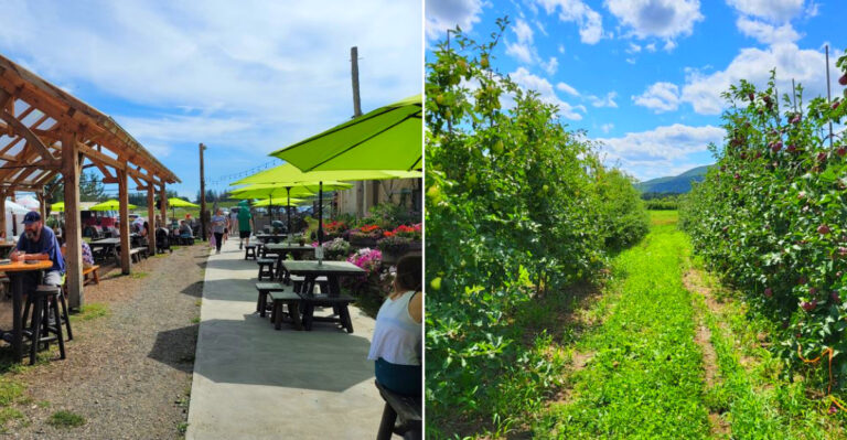 The New York Apple Orchard Where Cider Donuts Are Almost Always Hot And Fresh Off The Fryer