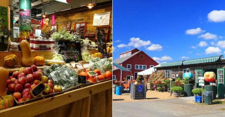 9 Massachusetts Markets And Orchards Stocked With Fresh Cider And Fall Harvest Goods