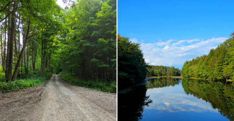The New York Forest Where The Ghost Stories Go Back More Than A Century