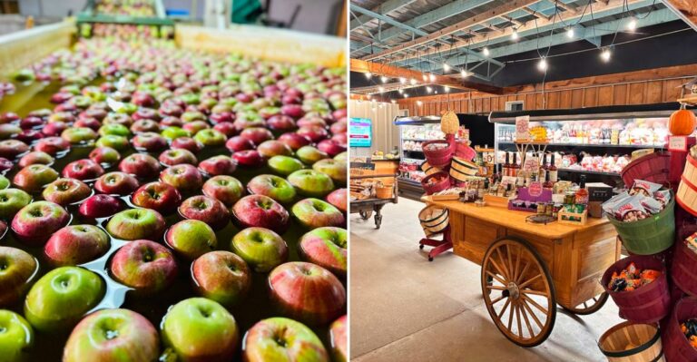 This Quiet Wisconsin River Town Has An Apple Orchard So Good It’s Becoming A Fall Road Trip Tradition