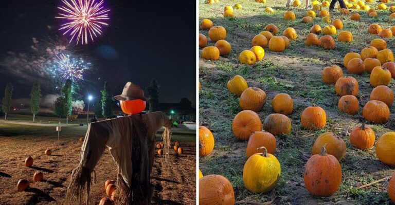 This Tennessee Pumpkin Patch Makes A Perfect September Weekend Escape