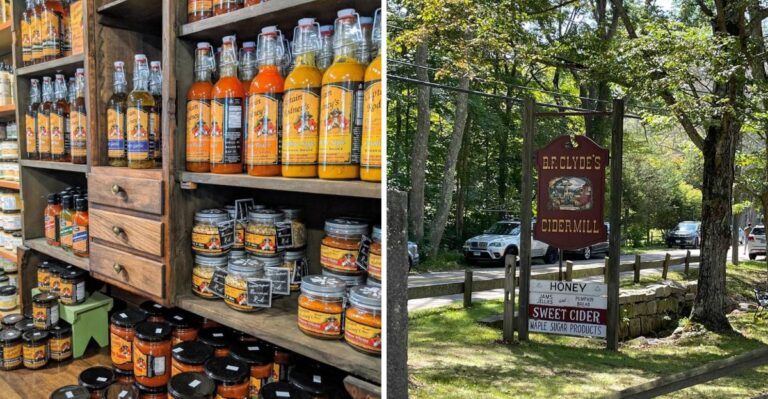 People Drive Miles For The Cider Donuts At This Connecticut Apple Orchard