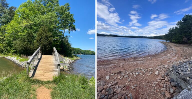 This Virginia Lake Looks Peaceful, But Snake Activity Can Catch Visitors Off Guard