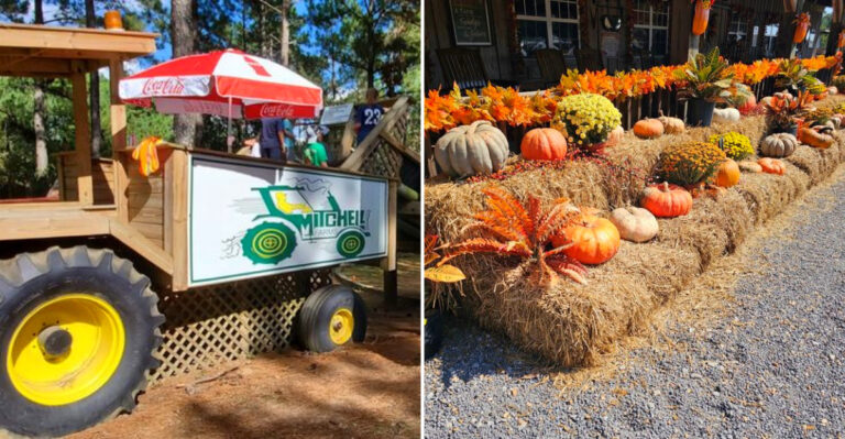 The Mississippi Farm Where You Can Pick Fresh Peanuts And Wander A Pumpkin Patch All Fall Long