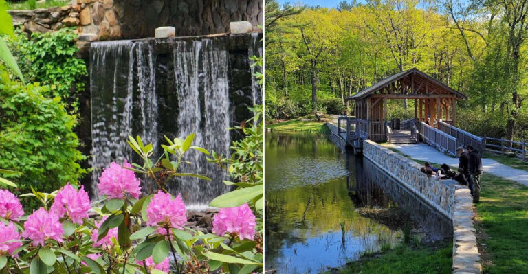 This Massachusetts Park Has A Little Bit Of Everything, Including Wooded Trails, Streams, And A Following Of Loyal Locals