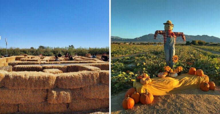 Every September, This Apple Orchard Near Las Vegas Becomes A Fall Paradise