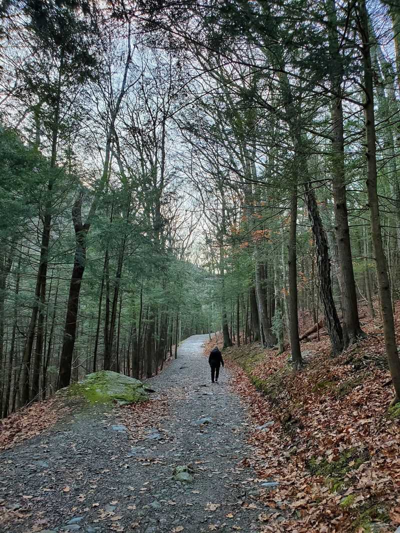 Alander Mountain Trail