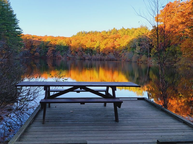 Rocky Woods Reservation
