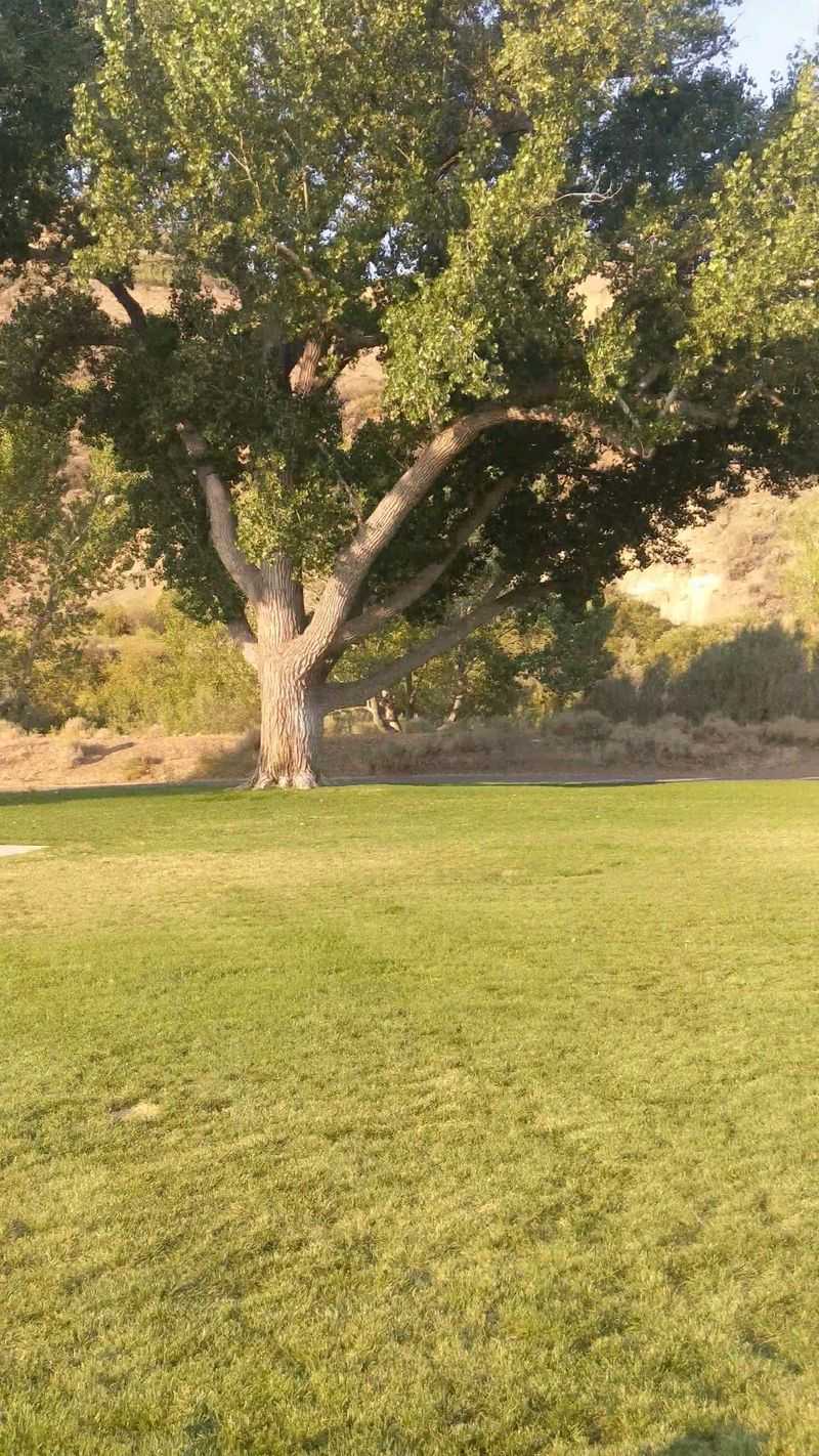 Mayberry Park, Reno, NV