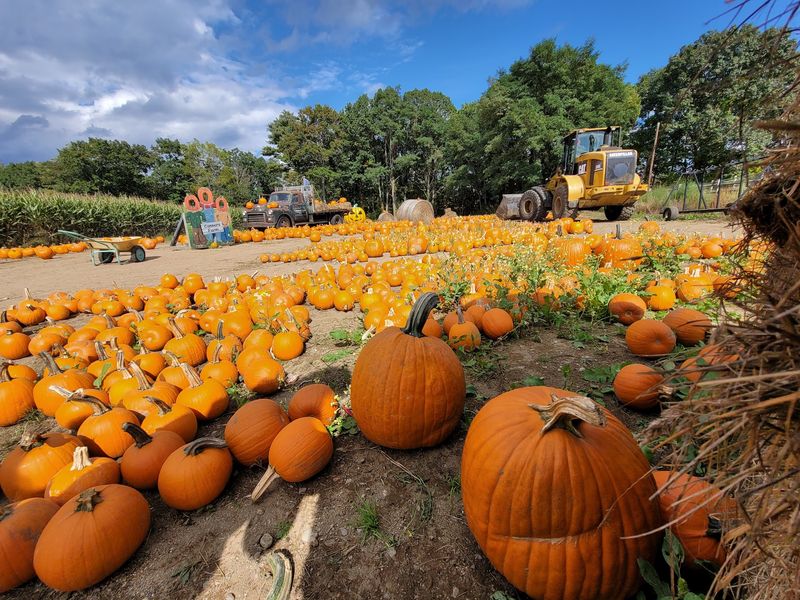 Connors Farm