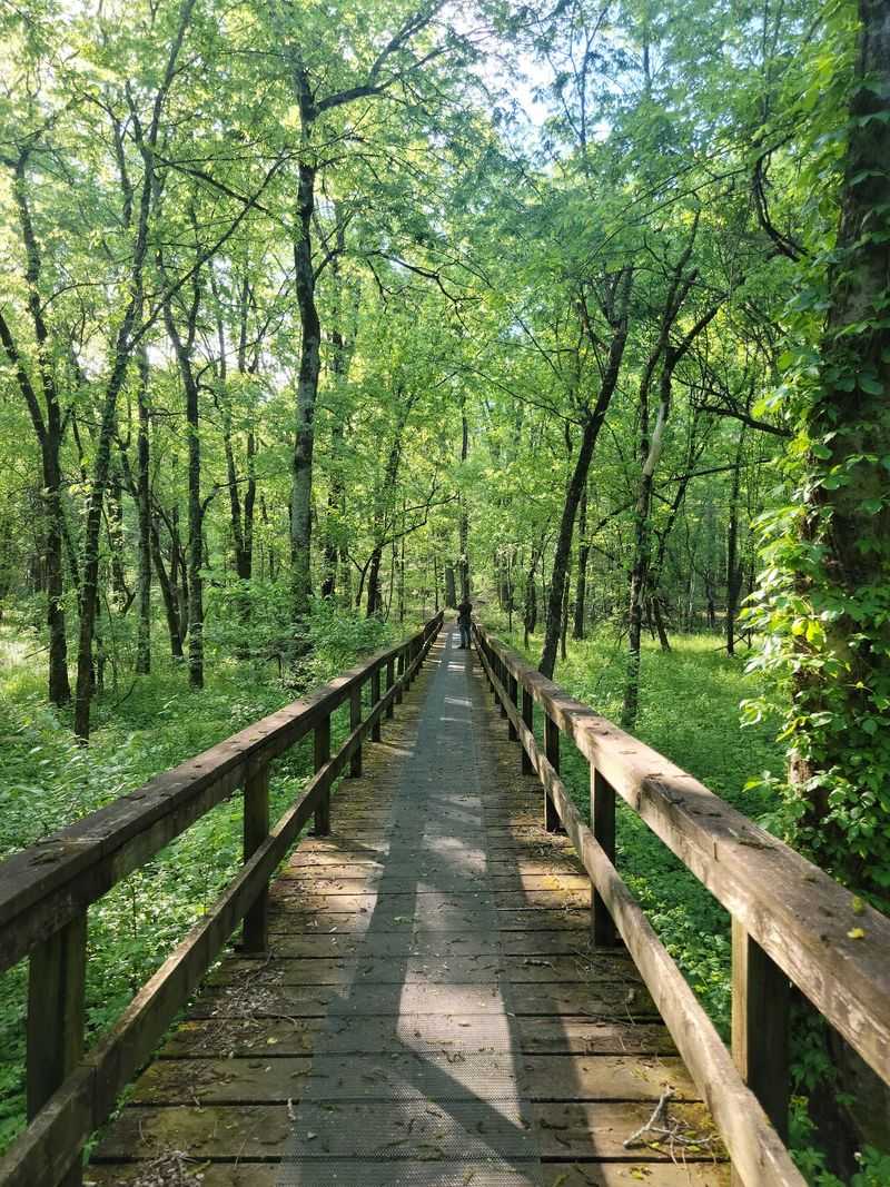 Chickasaw Village Site