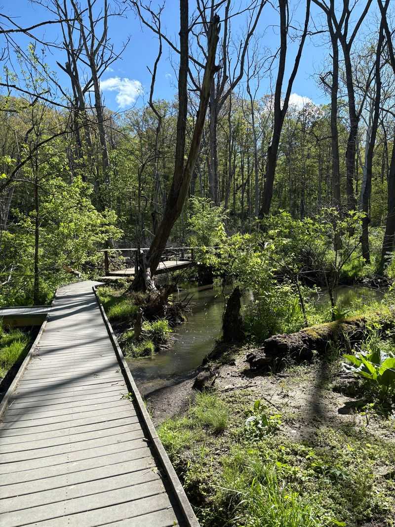 Yellow Springs