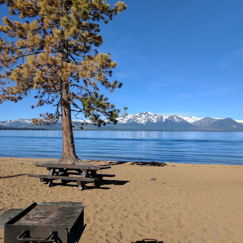 Your Campsite Comes With More Than You Might Expect