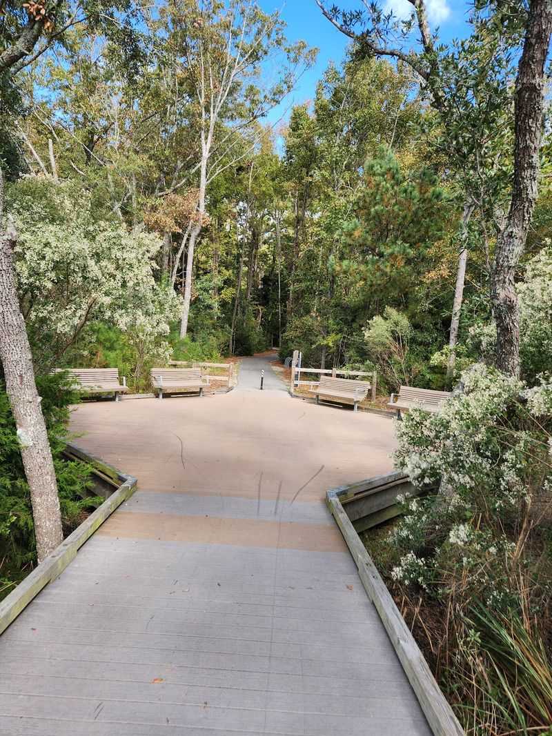 Three Trail Surfaces In One Short Stroll