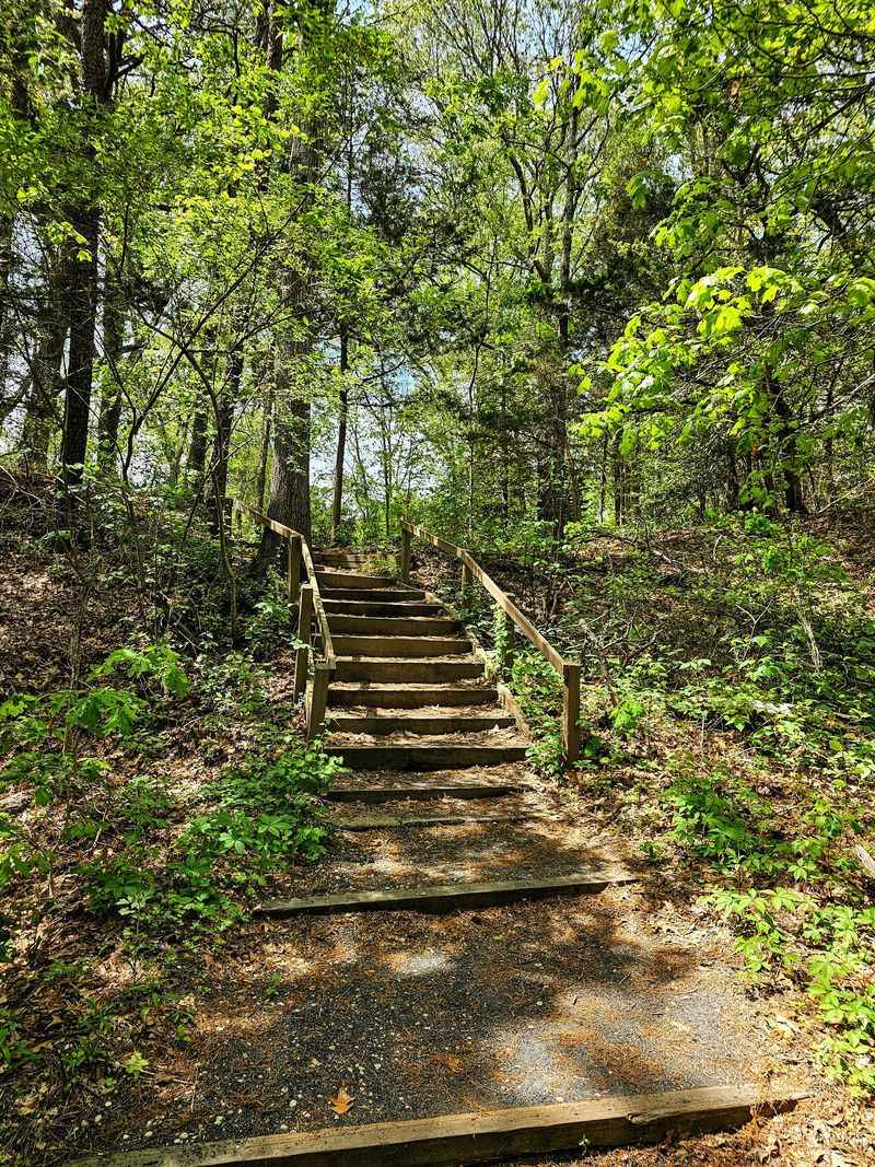 Woodland Trails Hide A Whole Different Cast Of Birds